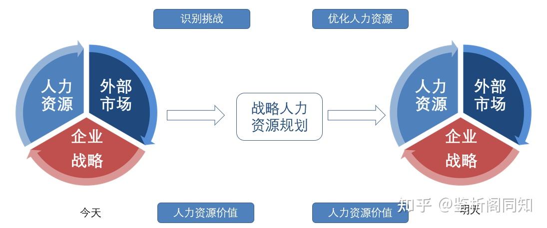 人力资源打点半岛官方体育就业倾向