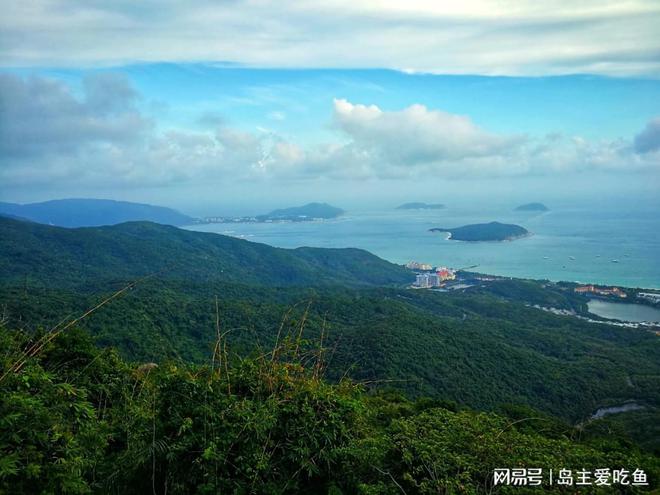 海南人才落户网上申请(海南人半岛官方体育才落户网上申请平台)(图2)