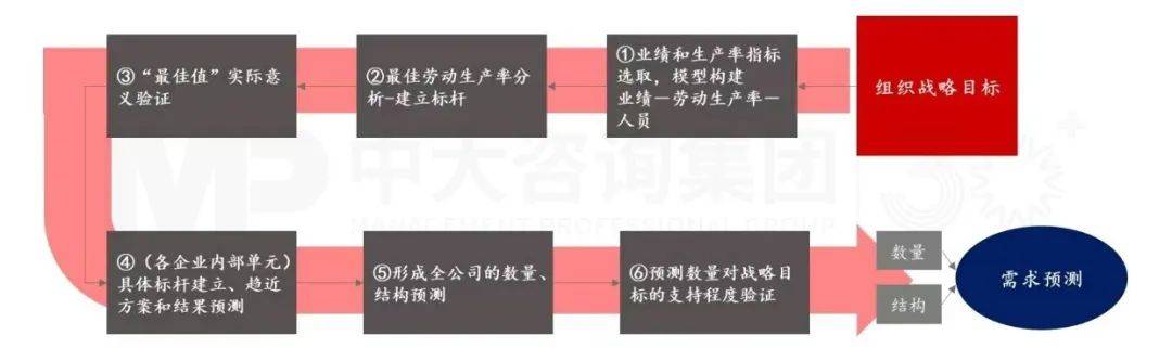 上下贯穿务实有序 半岛官方体育丨 企业人力资源筹备步伐详解(图5)