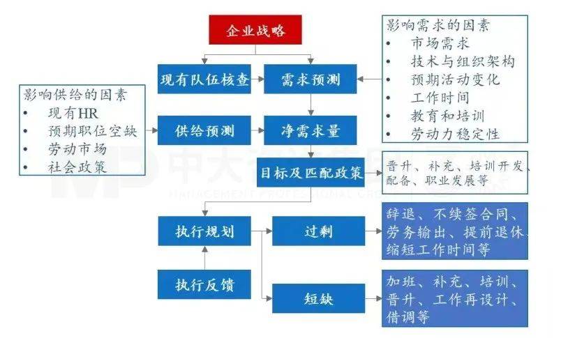 上下贯穿务实有序 半岛官方体育丨 企业人力资源筹备步伐详解(图6)